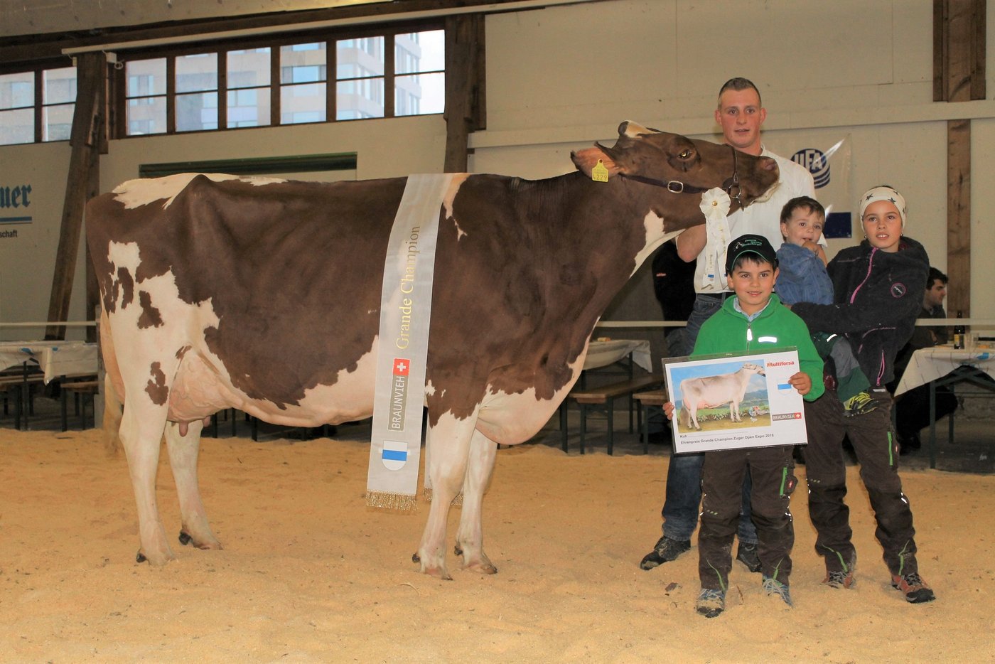 Die kapitale Absolute-Tochter Mabel von Franz Abächerli, Hausen am Albis wurde Gesamtsiegerin.