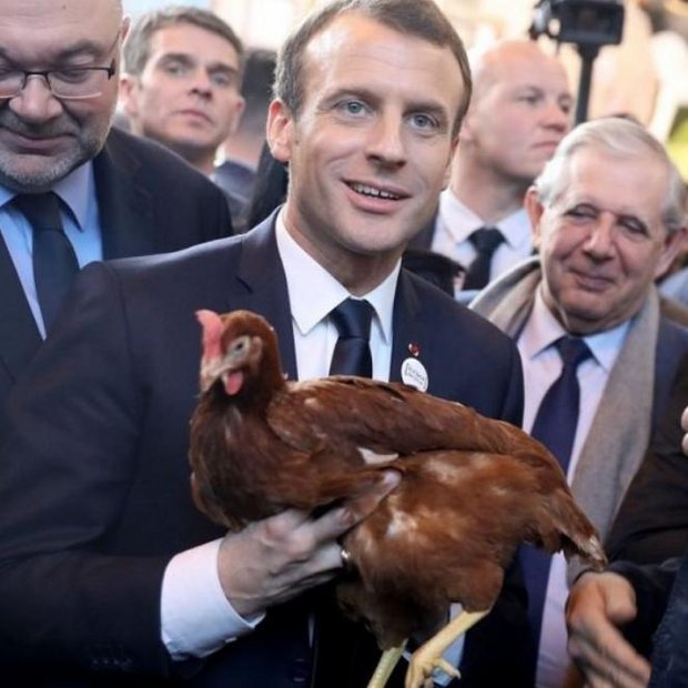 Der französische Präsident Emmanuel Macron mit seiner neuen Henne. (Bild Twitter)