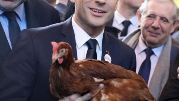 Der französische Präsident Emmanuel Macron mit seiner neuen Henne. (Bild Twitter)