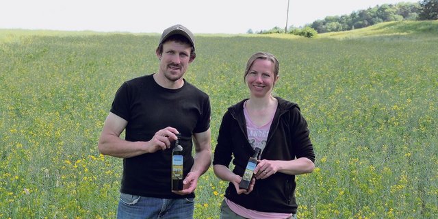 Die Ernte rückt näher: Felix und Nathalie Stahel lassen auch dieses Jahr eigenes Rapsöl pressen. 