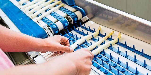 Bei weissen Spargeln werden seit 2023 Rostspuren toleriert, dies dank Qualitätsbestimmungen, die der VSGP zusammen mit dem Handel angepasst hat.