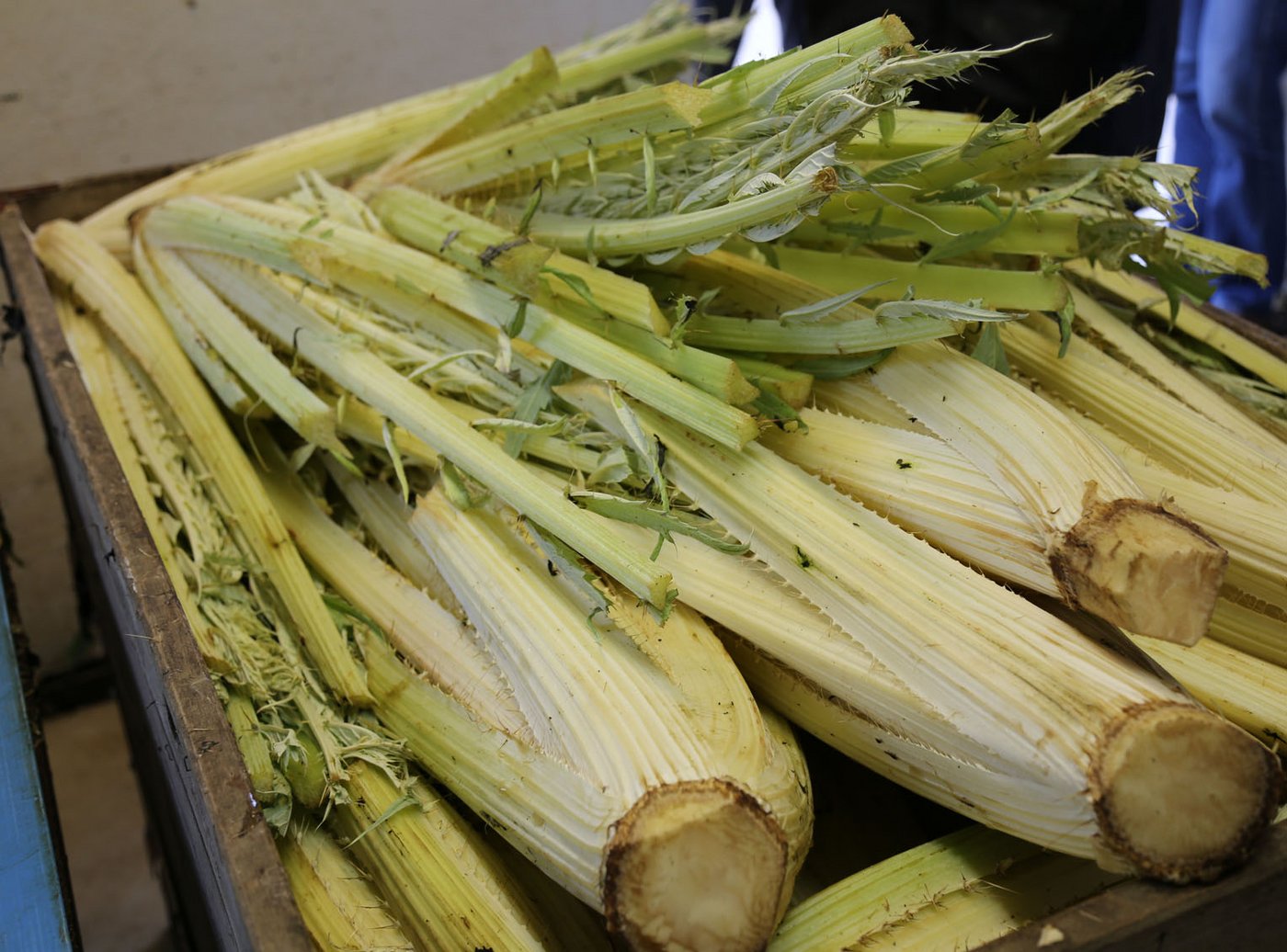 Verarbeitung aus. Auf rund ...