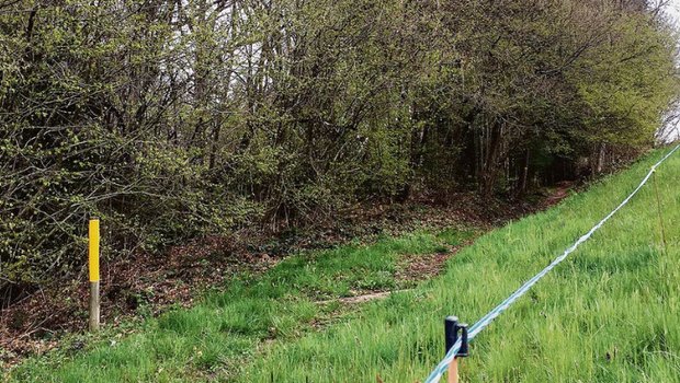 Im Kanton Luzern ist die Wandersaison gestartet Nahe: Wanderwege und Landwirtschaft. (Bild aem)
