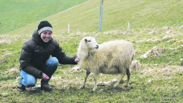 Nadja Kalmbachs Herz schlägt für Skudden-Schafe, die sehr robust sind. Ihr Lieblingstier heisst Jolie und ist ein richtiges Ausnahmeschaf. Bereits viermal hat es Drillinge geworfen. (Bild Deborah Rentsch)
