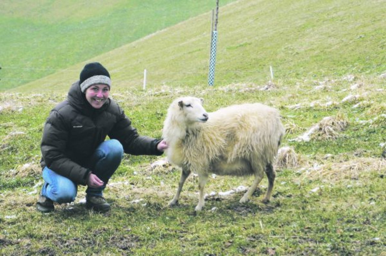 Nadja Kalmbachs Herz schlägt für Skudden-Schafe, die sehr robust sind. Ihr Lieblingstier heisst Jolie und ist ein richtiges Ausnahmeschaf. Bereits viermal hat es Drillinge geworfen. (Bild Deborah Rentsch)