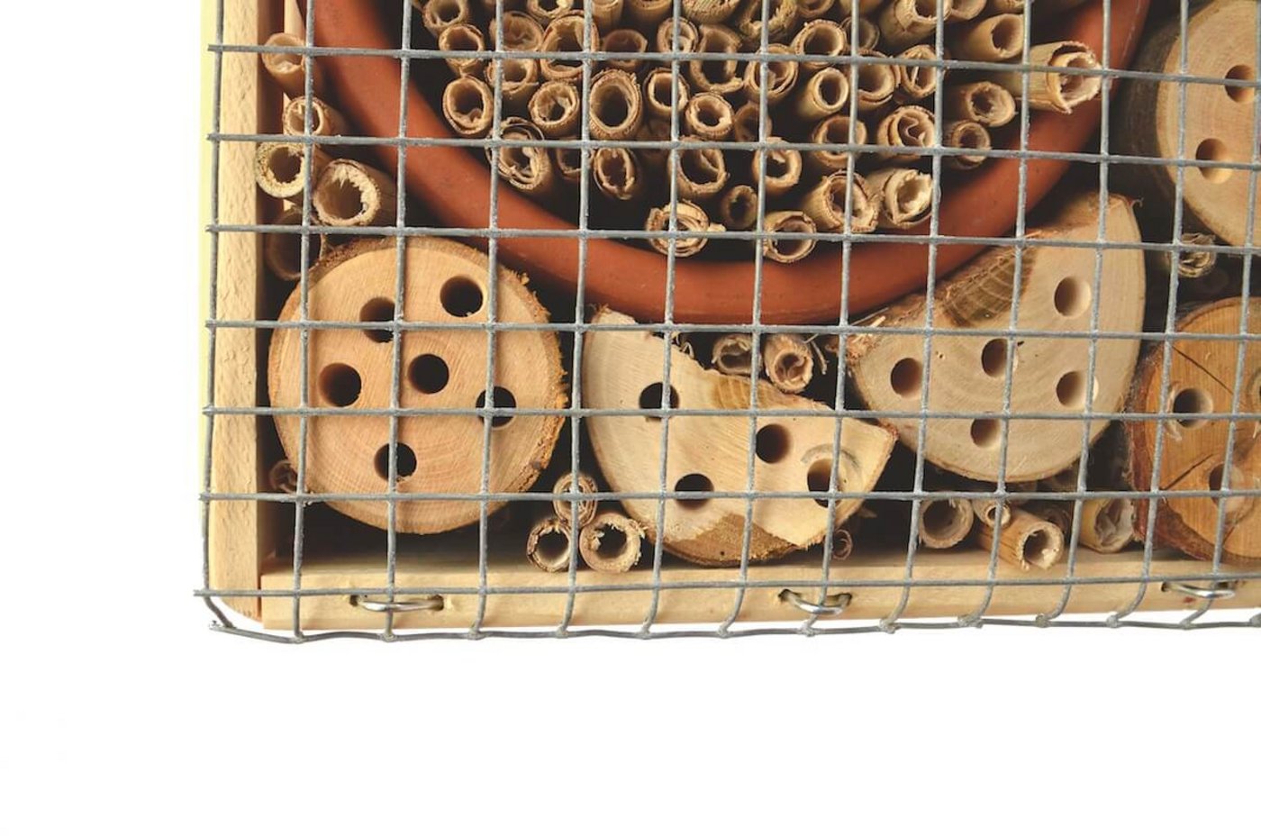 Das Drahtgitter wird rundum an der Kiste befestigt. (Foto: Pia Bertsch)