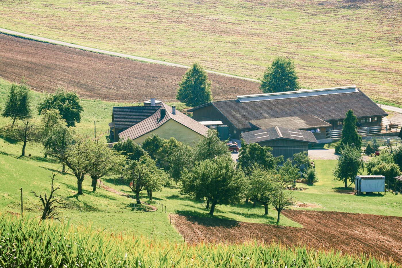 Der Betrieb von Familie Iten liegt im Schenkenbergertal in der Bergzone I.(Bild Ruth Aerni)