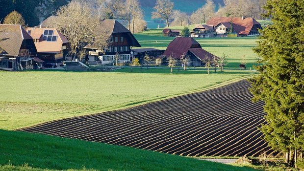 Kuh- oder Bergrechte Kuh- oder Bergrechte, die nicht an das Talland gebunden sind, werden oftmals an nicht selbstbewirtschaftende Nachkommen weitervererbt. Sobald diese jedoch einem landwirtschaftlichen Gewerbe angehören, ist dies kaum oder gar nicht mehr möglich.