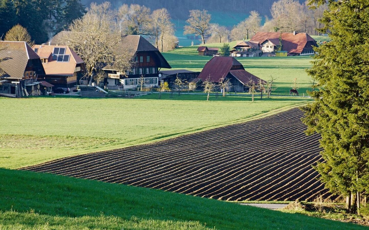 Kuh- oder Bergrechte, die nicht an das Talland gebunden sind, werden oftmals an nicht selbstbewirtschaftende Nachkommen weitervererbt. Sobald diese jedoch einem landwirtschaftlichen Gewerbe angehören, ist dies kaum oder gar nicht mehr möglich. 