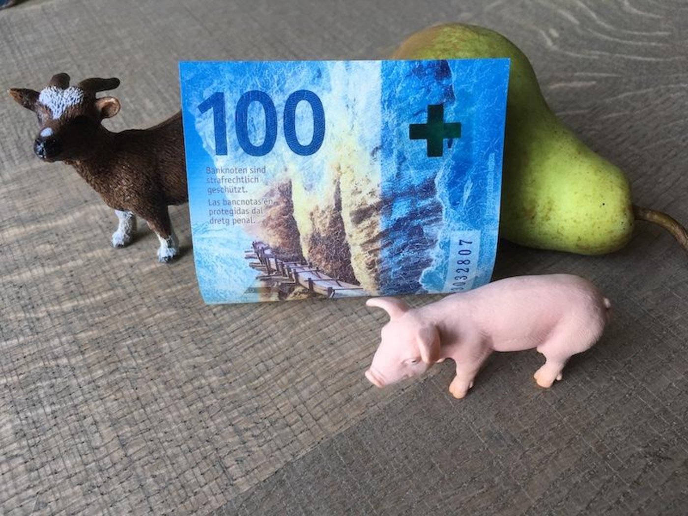 Landwirtschaftliche Produktion kostet etwas – je nach Produkt tragen Konsumenten, Steuerzahlende und die Allgemeinheit unterschiedlich hohe Anteile dieser Kosten. (Bild jsc)