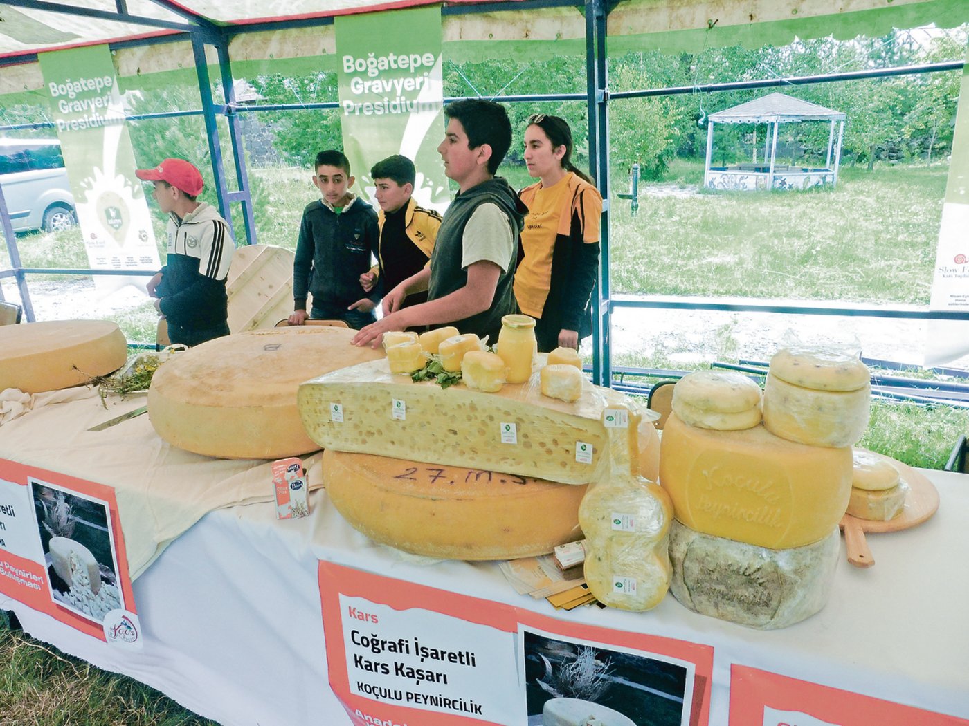 In der Türkei ist er beliebt und berühmt, der Grosslochkäse aus Kars. So wird er auf vielen Märkten zum Kauf angeboten.(Bild Andreas Bigler)