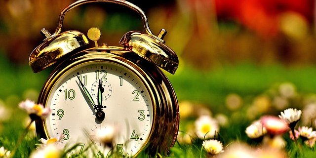 Die Grüne sieht dringenden Handlungsbedarf bezüglich Umweltschutz. Die AP 22+ solle die Umwelt mehr berücksichtigen, so die Forderung. (Bild pixabay)