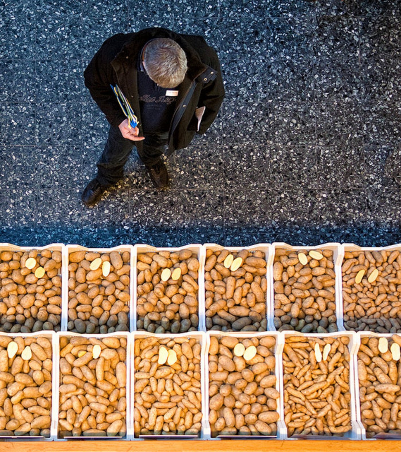 Siegerbild Kategorie Produkte & Verarbeitung: Choix de pommes de terre. (Giorgio Skory, Basel)