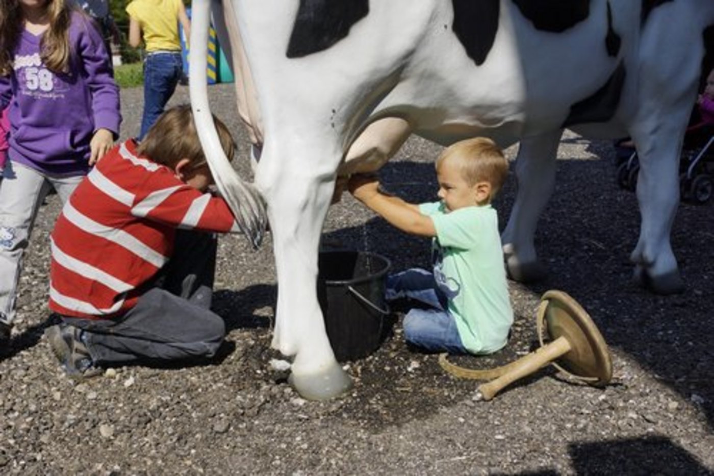 Der Liebegger Tag bietet der ganzen Familie Unterhaltung und Wissenswertes. (Bild: LZ Liebegg)