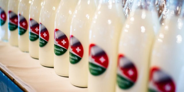 So prominent wie auf den dekorativen Glasflaschen anlässlich der Lancierung des Grünen Teppichs vor einem Jahr ist das Logo «Swissmilk Green» heute nicht. (Bild BauZ) 