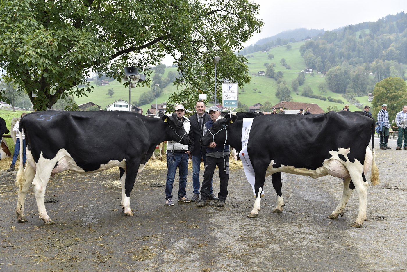 Vizechampion Mascalese Mona (links), und Champion Dempsey Doren mit Besitzer Jost Barmettler (rechts). 