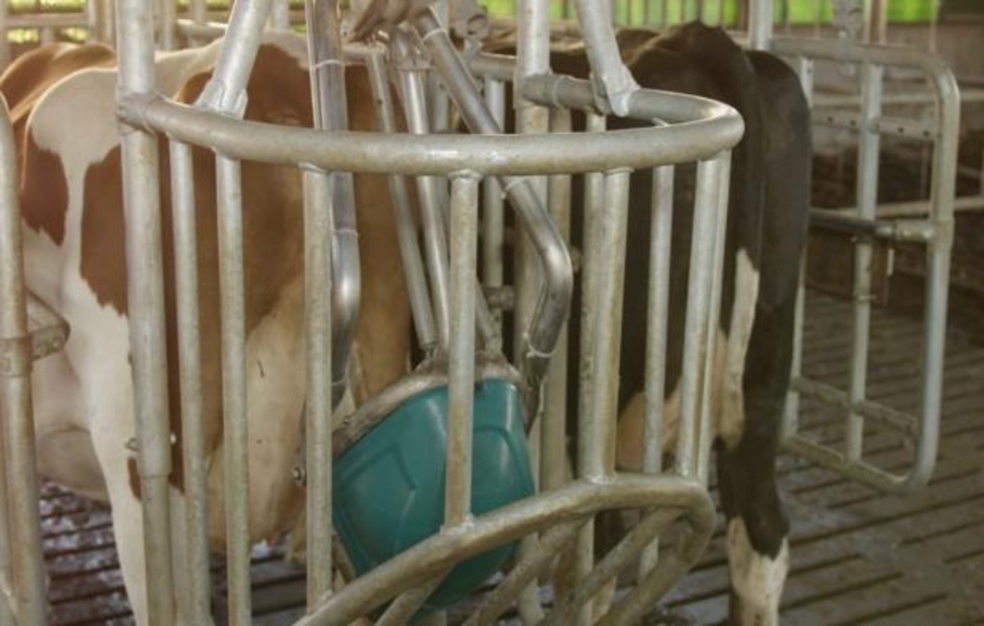 Die bewegliche Schüssel löst einen Reflex zum Urinieren aus. (Bild Hanskamp)