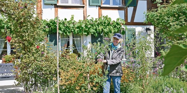 Sandra Flückiger freut sich, dass ihre beiden Tomatenstauden trotz garstigem Wetter ungeschützt so gut gelungen sind. 