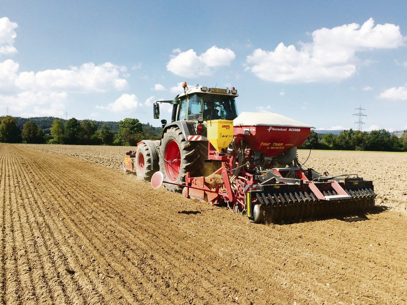Die Aussaat von Raps sollte nicht zu früh erfolgen, damit Auswinterungsschäden vermieden werden. (Bild LZ Liebegg)