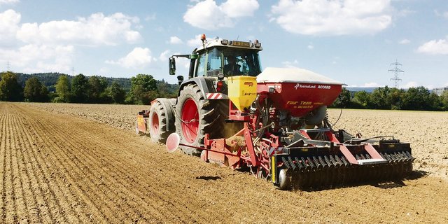 Die Aussaat von Raps sollte nicht zu früh erfolgen, damit Auswinterungsschäden vermieden werden. (Bild LZ Liebegg)