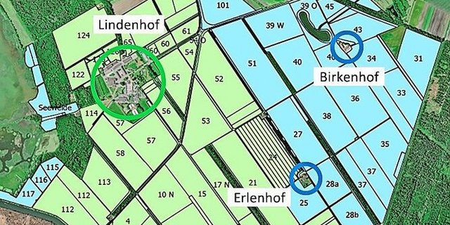 Die blaue Fläche wird abgegeben. Der grüne Bereich zeigt die verbleibende Fläche der JVA Witzwil.  Schwarz eingefärbt sind Windschutzstreifen, bestehend aus Hecken, Wald und Gewässern.