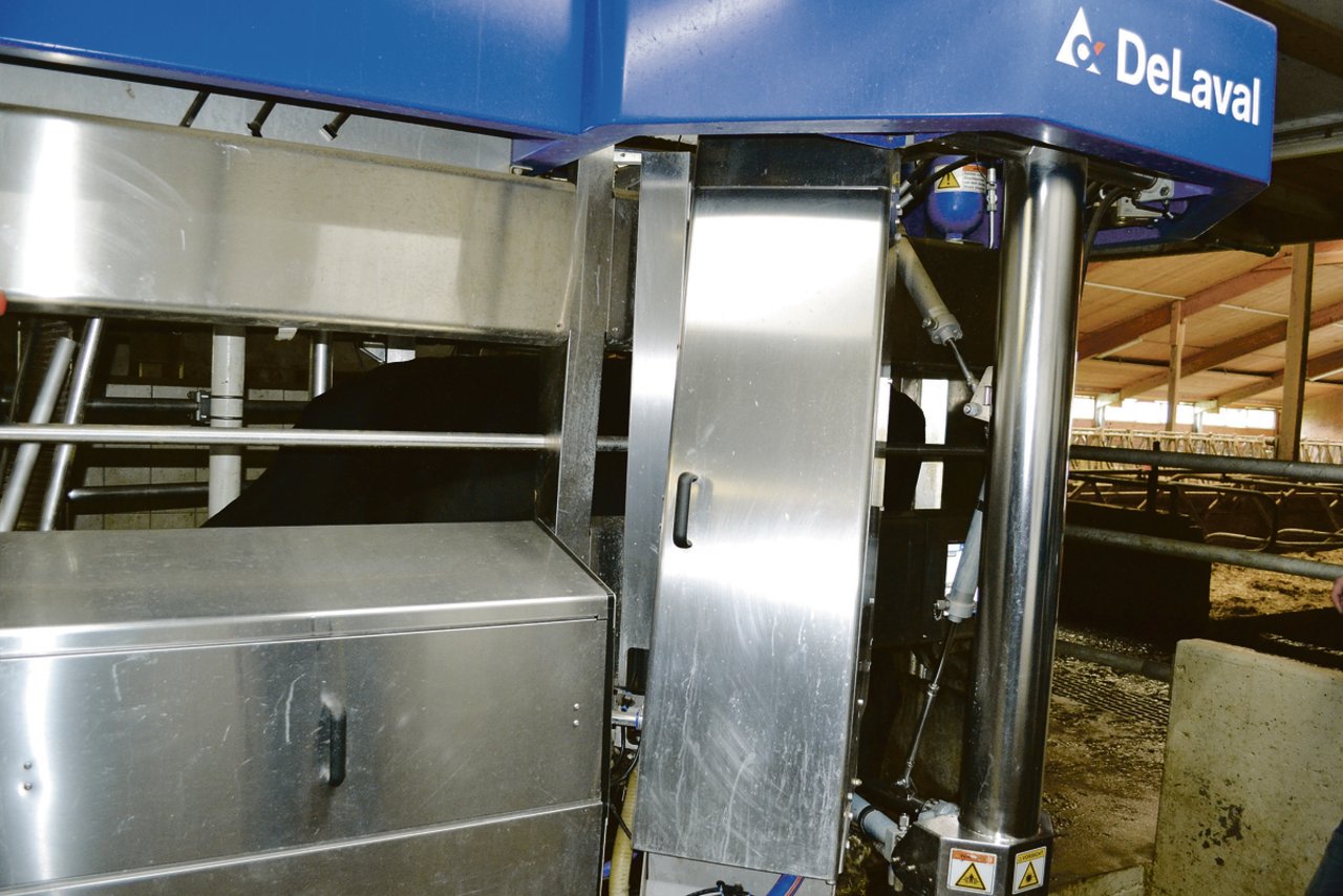 Seit vier Jahren melken Buchers ihre Kühe mit einem Melkroboter und sind sehr zufrieden damit.