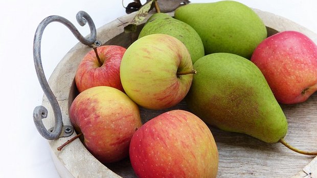Glücklicherweise hat die Obsternte schon begonnen – Äpfel und Birnen wird man also voraussichtlich innerhalb des 30km-Radius finden. (Bild Pixabay)