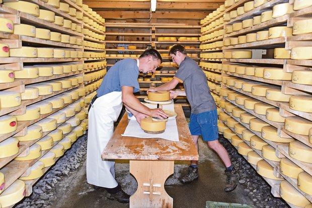 Die Käsekeller sind voll, einen Alpsommer wie diesen würde man gerne wieder nehmen. Frank Amstutz und sein Sohn Jonas bei der Käsepflege. Jetzt muss der Käse nur noch verkauft werden.