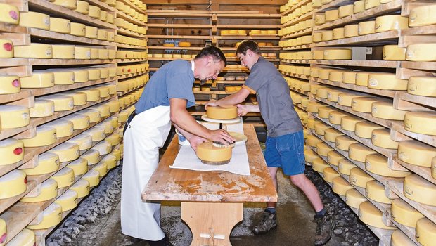 Die Käsekeller sind voll, einen Alpsommer wie diesen würde man gerne wieder nehmen. Frank Amstutz und sein Sohn Jonas bei der Käsepflege. Jetzt muss der Käse nur noch verkauft werden.