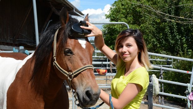 Die Tiere mag sie am liebsten, aber auch die Arbeit mit den Kindern gefällt ihr "erstaunlich gut": Delia Vilarino mit Pferd Jalito während ihrem Agriviva-Einsatz bei Familie Werder in Endingen. (Bild Andrea Gysin)