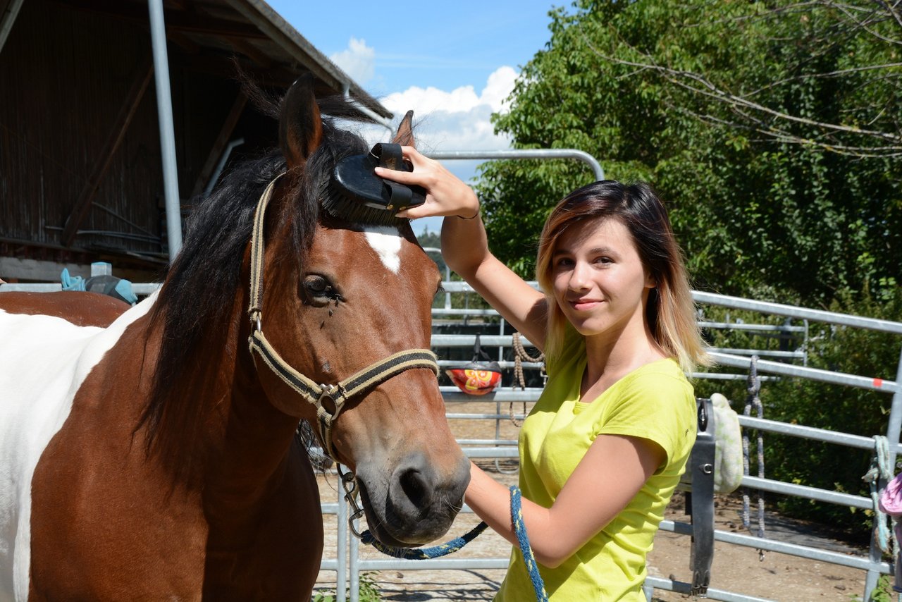 Die Tiere mag sie am liebsten, aber auch die Arbeit mit den Kindern gefällt ihr "erstaunlich gut": Delia Vilarino mit Pferd Jalito während ihrem Agriviva-Einsatz bei Familie Werder in Endingen. (Bild Andrea Gysin)