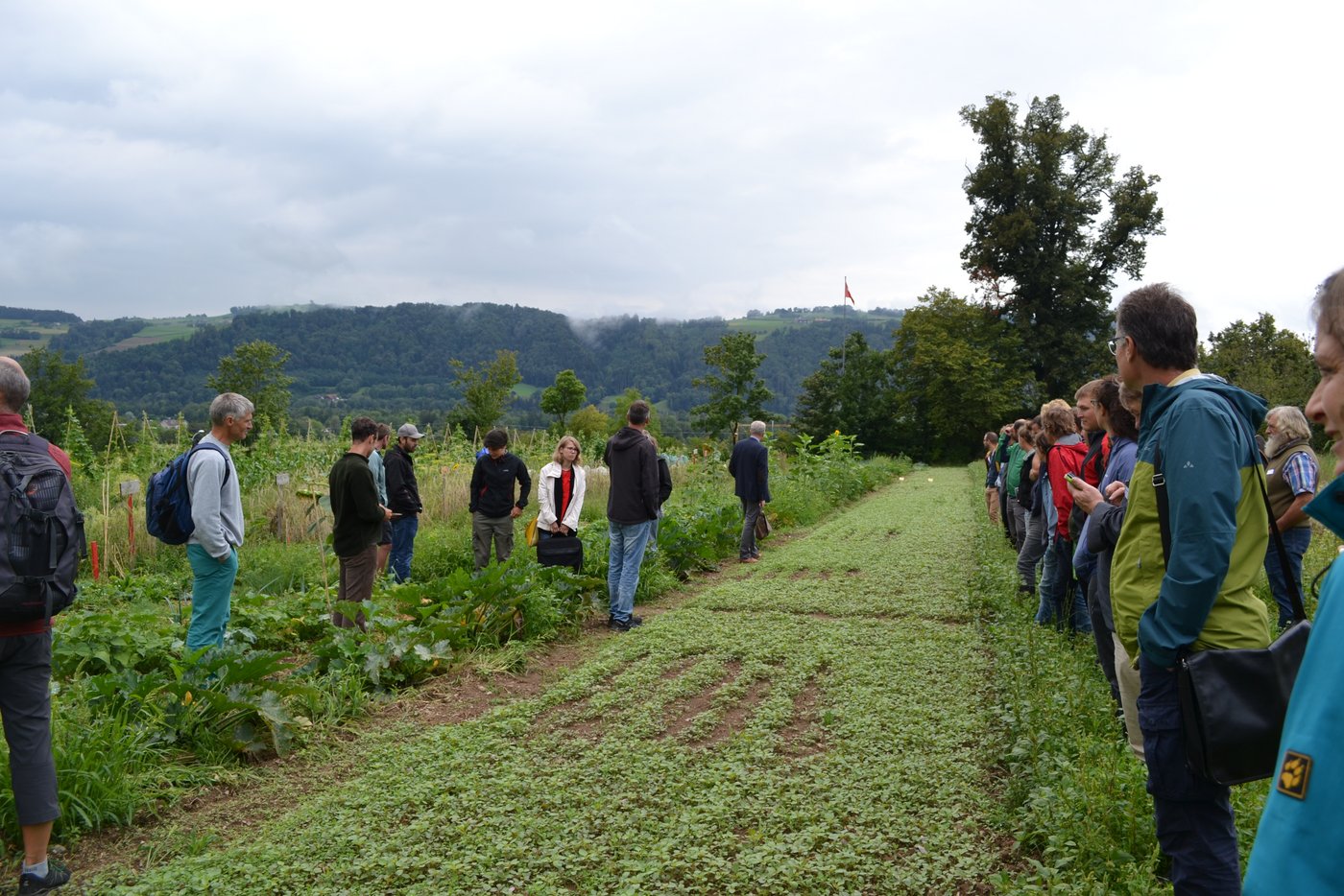 Der Demeter-Landwirt Urs Siegenthaler zeigte, wie unterschiedlich die vermieteten Gemüseparzellen gejätet wurden (hier das Rüebli-Beet). Interessierte können für 300 Franken pro Jahr eine 150 Meter lange Parzelle mieten und diese selber bewirtschaften. (Bild BauernZeitung/Sera Hostettler)