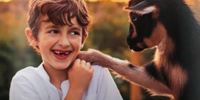 Die neuen Broschüren von Agrotourismus Schweiz bieten einen Überblick über 400 Angebote. (Bild agrotourismus.ch)