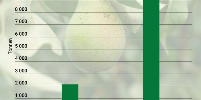 Birnen-Lagerbestand per 30. November, Bio und Suisse Garantie. (Grafik LID, Zahlen Swisscofel/SOV)