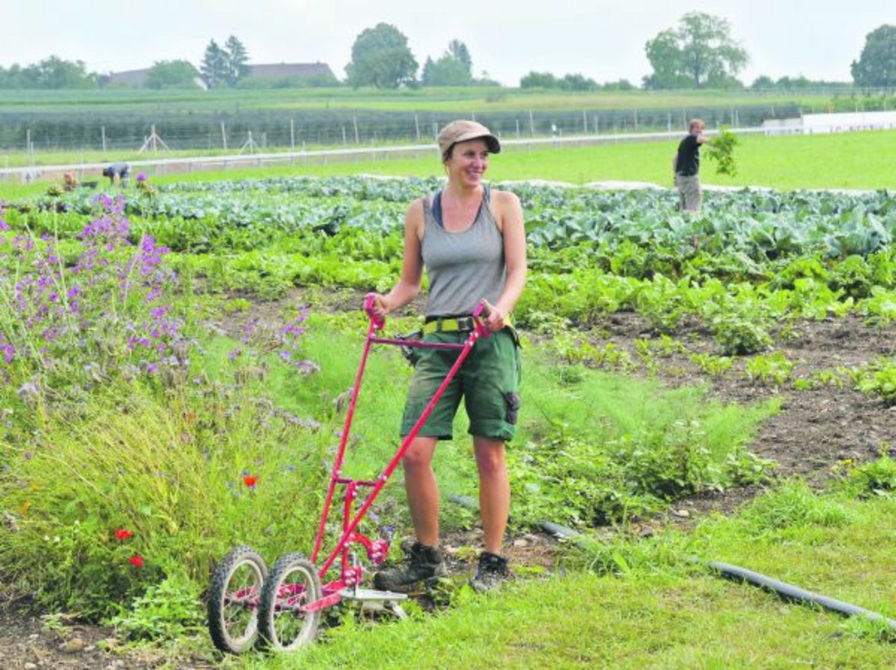 Draussen auf dem Feld ist es Rahel Fuchs am wohlsten. 2019 wird sie den Eidgenössischen Fachausweis als Gemüsegärtnerin in Händen halten. (Bild Frank Meissner)