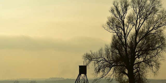 Die Umweltverbände wollen die neue Revision rasch voran treiben. (Bild Pixabay)