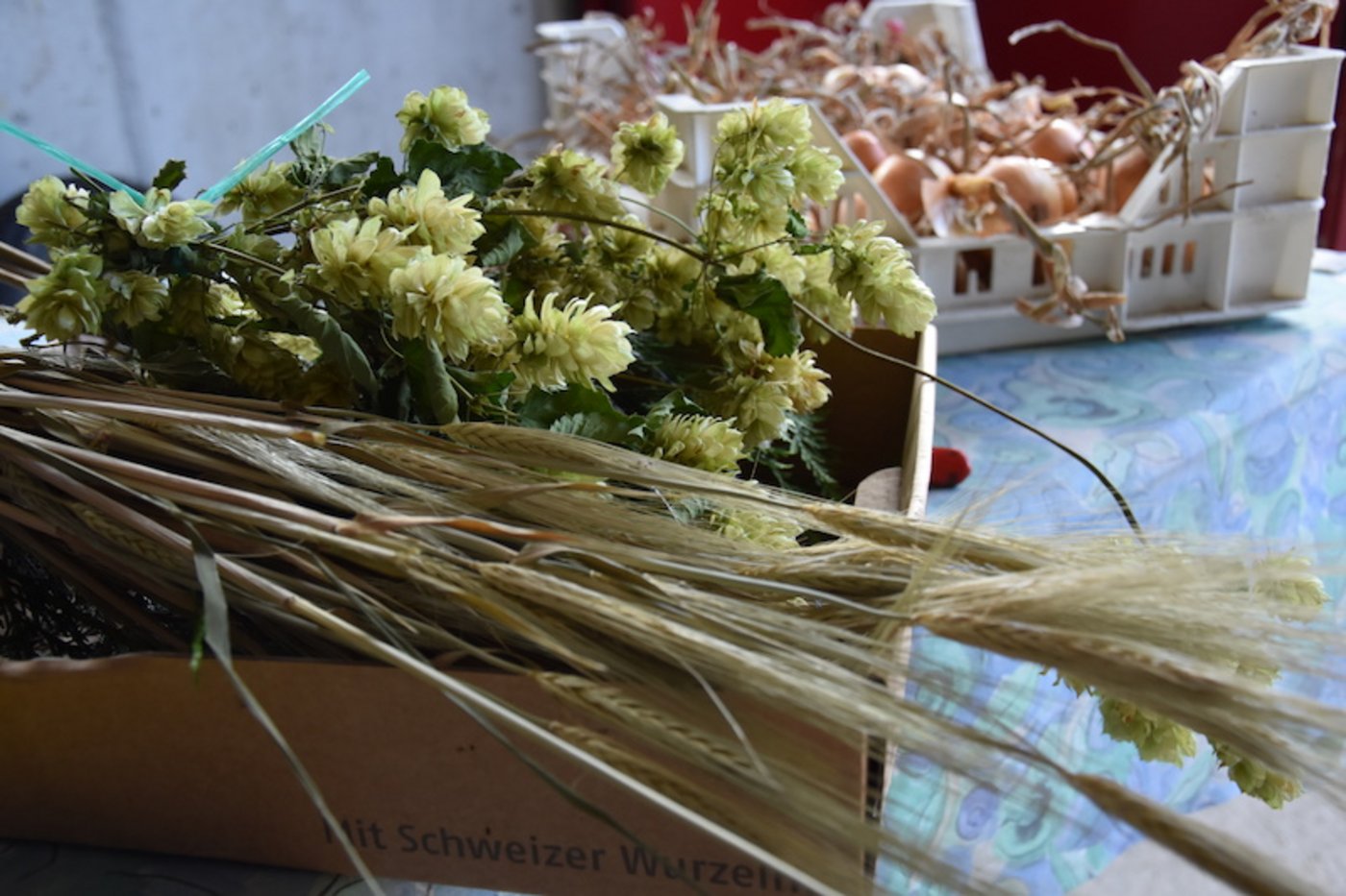 Trockenblumen sind Käthi Peter zu kitschig. Sie setzt auf Getreide und Hopfen als Dekoration beim Zwiebelzopf.