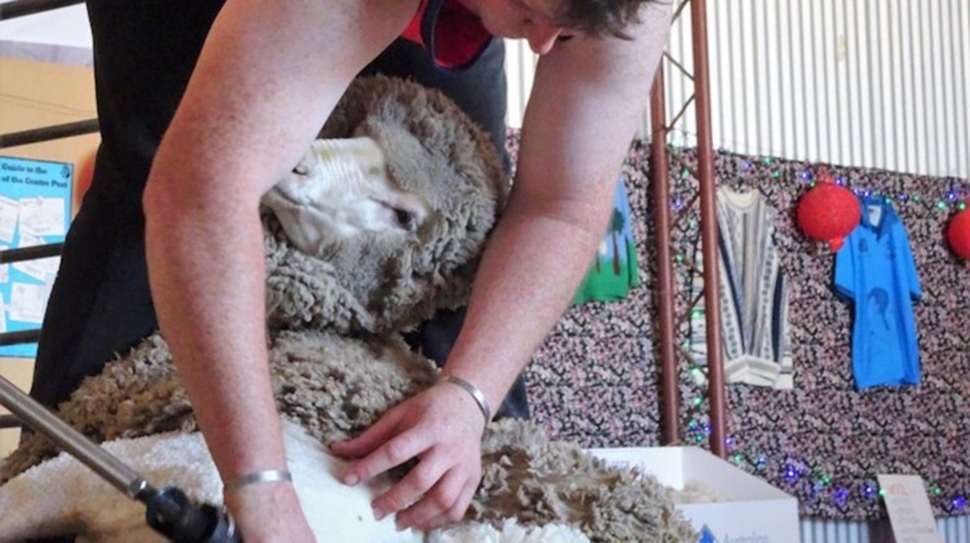 Die diesjährigen Wettkämpfe fanden in Frankreich statt. (Symbolbild mr)