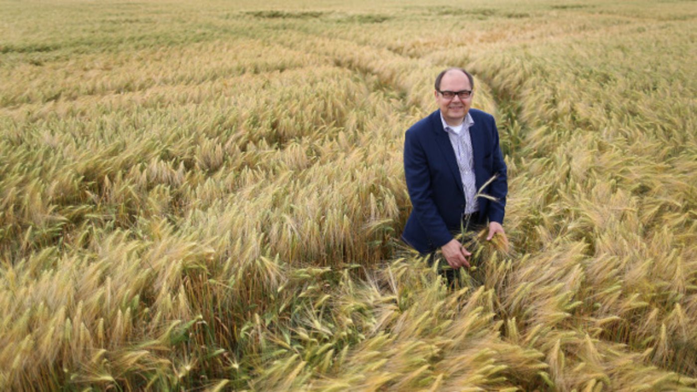 Weniger Kunden: Der deutsche Landwirtschaftsminister Schmidt in einem Getreidefeld. (Bild pd)