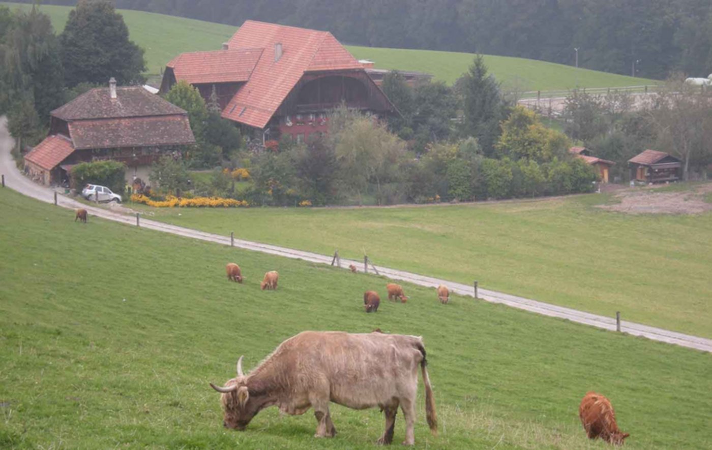 Die Zahl der Landwirtschaftsbetriebe ging im letzten Jahr um 1,2 Prozent zurück. (Bettina Iseli/landwirtschaft.ch)