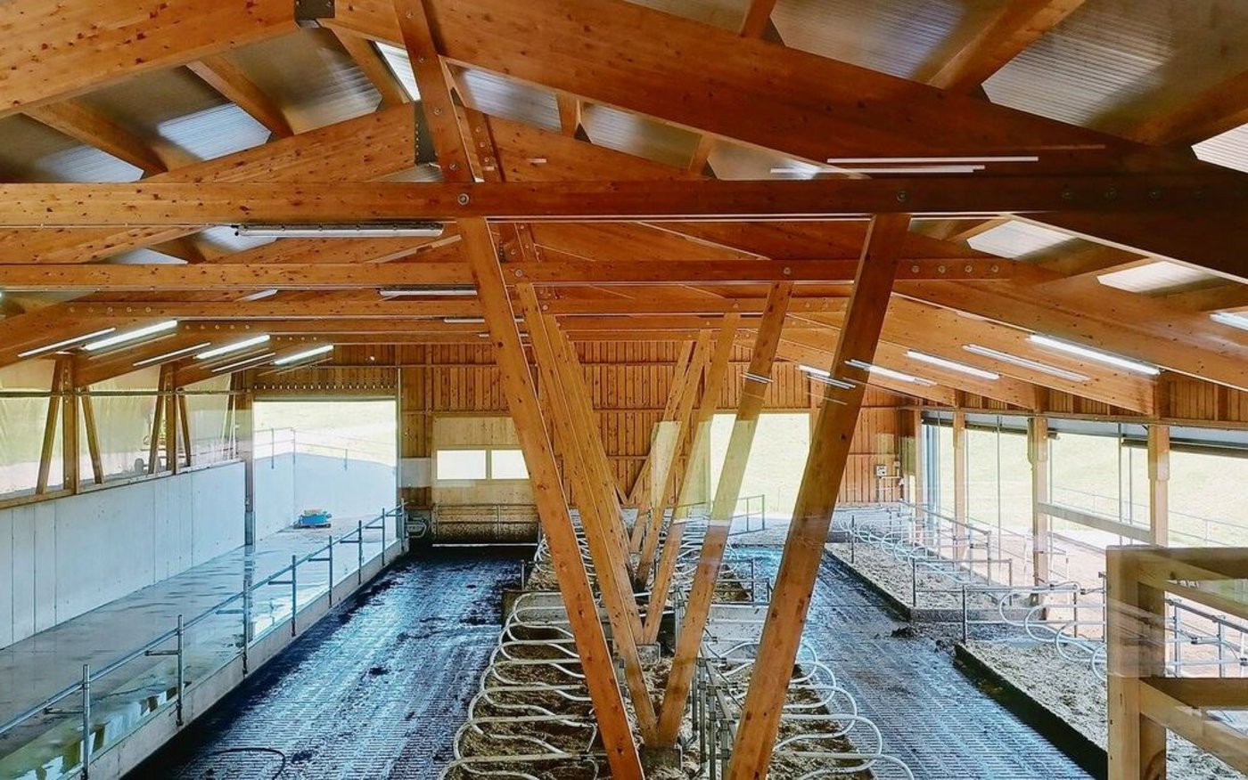 Die Kühe sind auf der Weide, der Stall wird für den «Tag der offenen Tür» vorbereitet. Christoph Ryser hat sich für Boxenbügel entschieden, die karbongeführt und mit Kunststoff verkleidet sind.