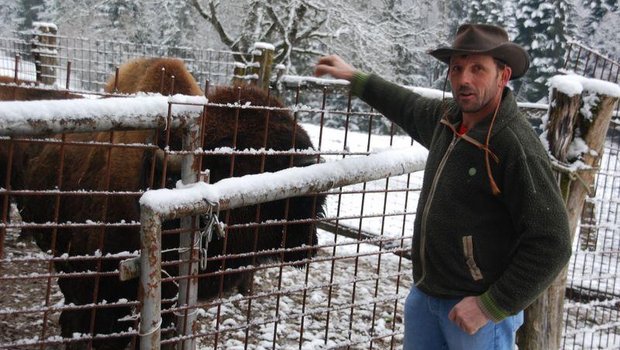 Ivo Bühlmann ist begeistert von den Bisons, hadert aber mit der Bürokratie. (Bilder rb)