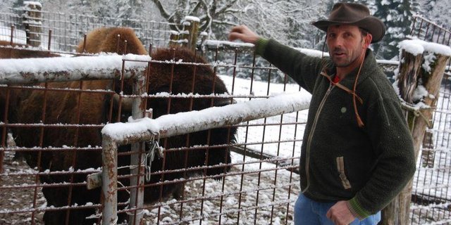 Ivo Bühlmann ist begeistert von den Bisons, hadert aber mit der Bürokratie. (Bilder rb)