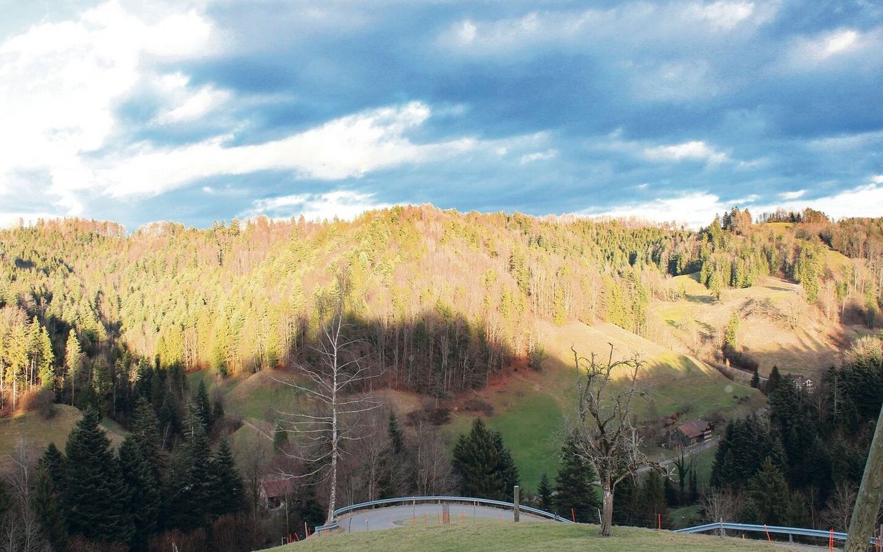 Blick vom Hof auf die umliegenden Hügel. Sternenberg ist der entlegenste Ort im Kanton Zürich. Zum Hof gehören 9 ha Wald und 8,5 ha landwirtschaftliche Nutzfläche.