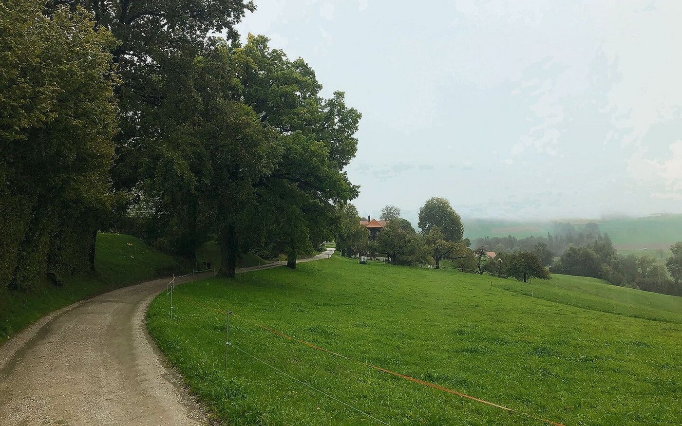 Pünktlich zum astronomischen Herbstanfang zog letzten Freitag nach der mehrtägigen Hochdruckphase eine Kaltfront über die Schweiz. Reiner Zufall – oder doch nicht?