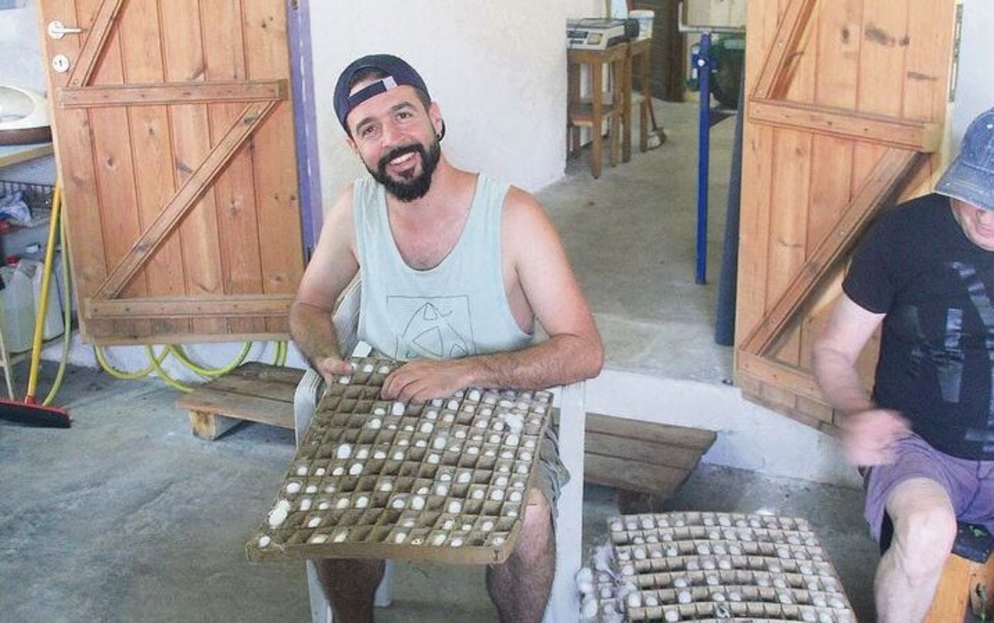 Seide wird aus den feinen Fäden gewonnen, mit denen die Seidenraupen ihre Kokons spinnen. Die Seidenraupenzucht hatte ihren Ursprung vor rund 5000 Jahren in China. 