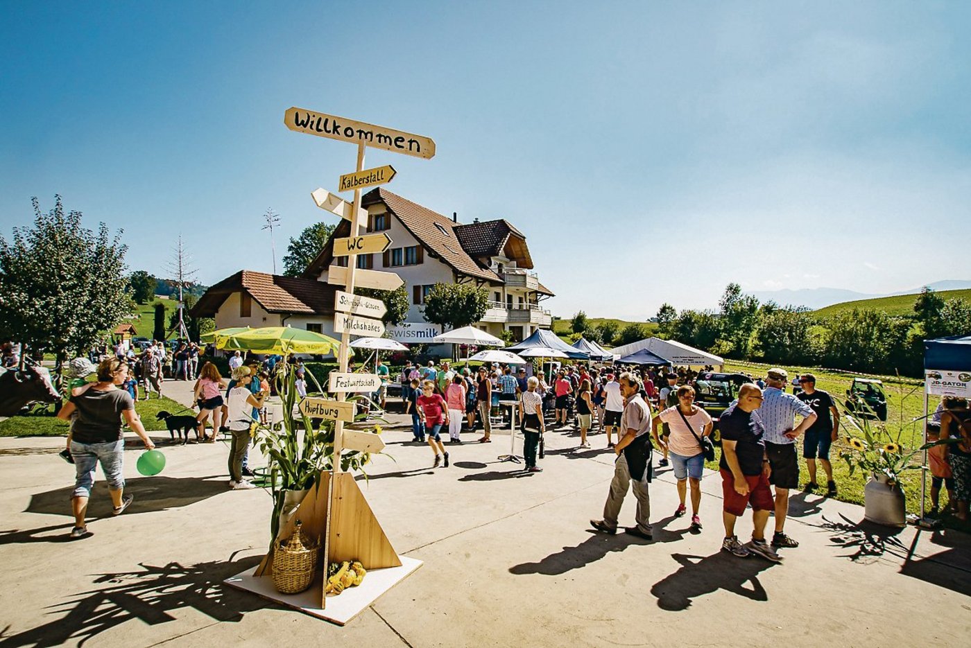 Viel Betrieb auch  auf dem Hof von Familie Bühlmann in Ruswil. (Bilder zVg)