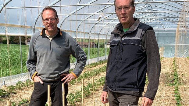 Markus (l.) und Jürg Weber betreiben ihren Hof nach den Prinzipien der Regenerativen Landwirtschaft. (Bilder Ruth Bossert)