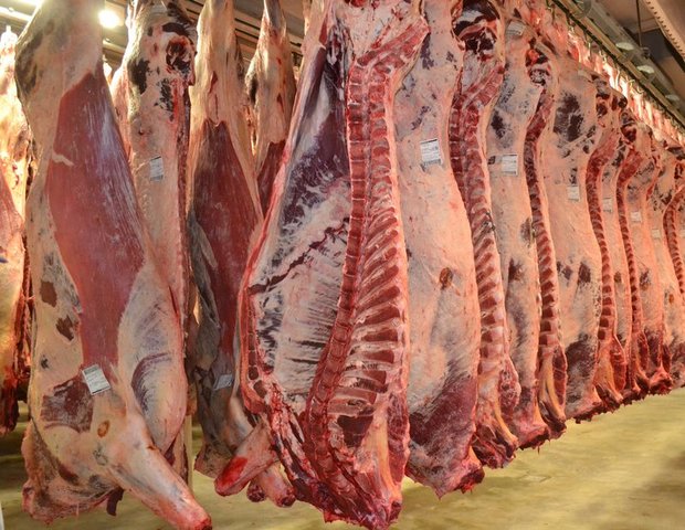 Von jetzt an soll in Tschechien jede Lieferung polnischen Rindfleisches labortechnisch untersucht werden. (Bild jba)