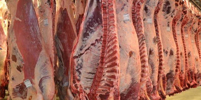 Von jetzt an soll in Tschechien jede Lieferung polnischen Rindfleisches labortechnisch untersucht werden. (Bild jba)